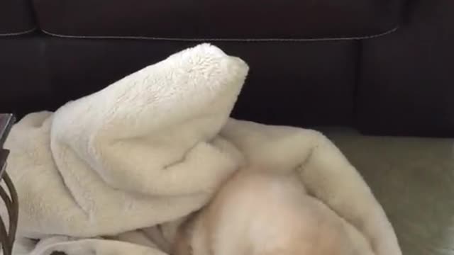 hewentblankymode