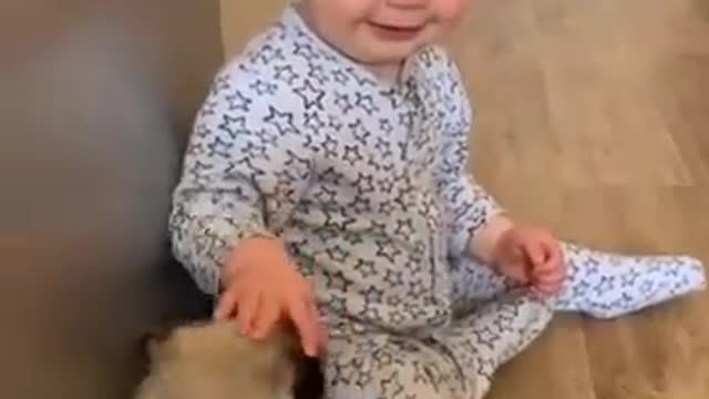 cute baby playing with beautiful puppy dogs