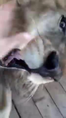 Comedy video scenes 😂😂😛😛