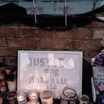 marshall and million part 2 #marshallandmillion #doglovers #dog