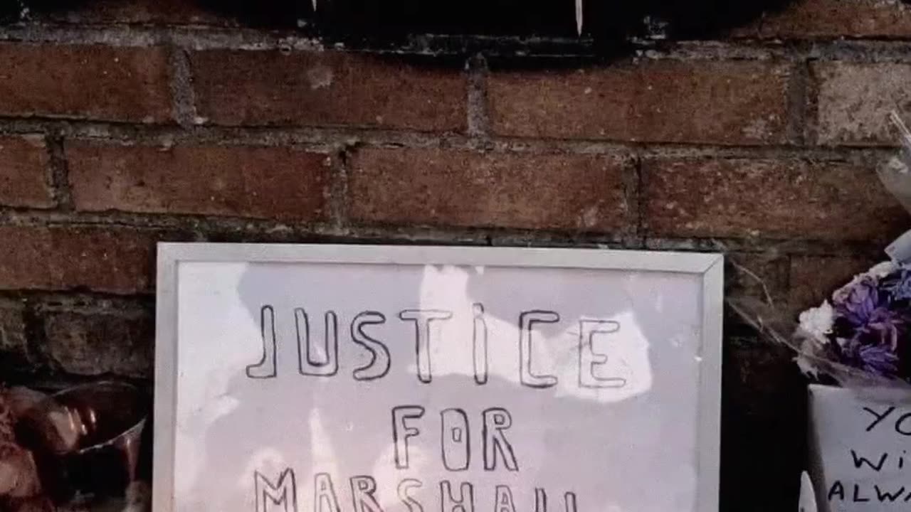 marshall and million part 2 #marshallandmillion #doglovers #dog