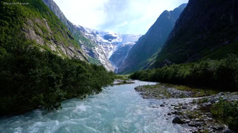 Magnificent Mountains, Forests