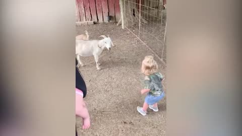Cute Babies having Fun with Cute Pets😍😍😍