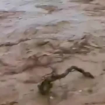 Iranian river BURSTS banks following heavy rains #shorts