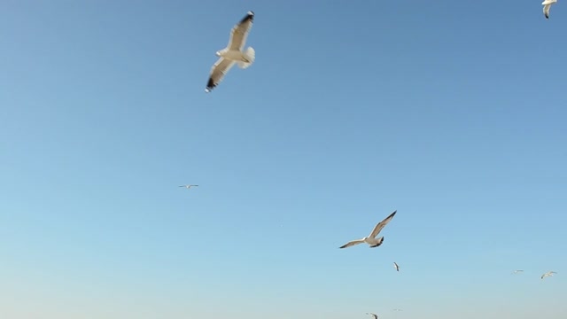 right way to do sth