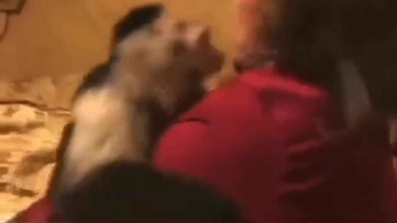 Animals love wait end 😯👍😱😱 1 million views please 😱