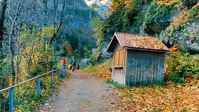 Other way to heaven 🏞️🍂🍁