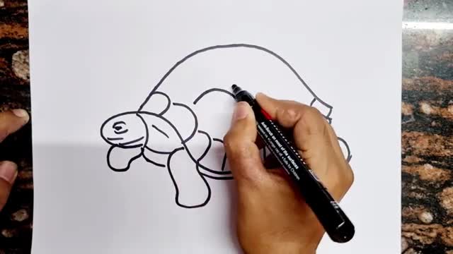 How to draw Turtle // Easy Turtle Drawing
