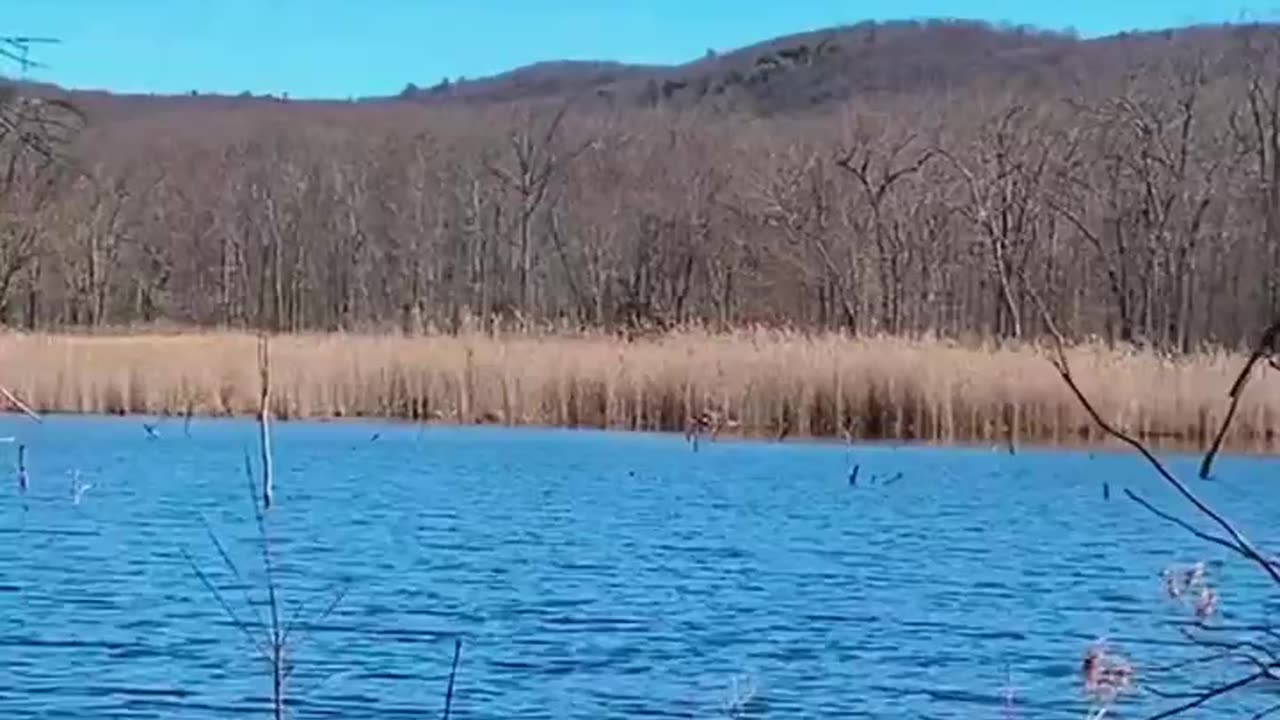 BEAVER’S LAKE TURNED INFINITY POOL!