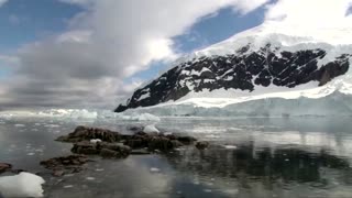 How krill fishery threatens Antarctic wildlife