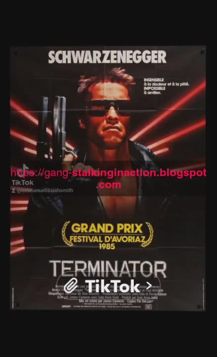 The Terminator / Gangstalking Simile