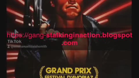 The Terminator / Gangstalking Simile