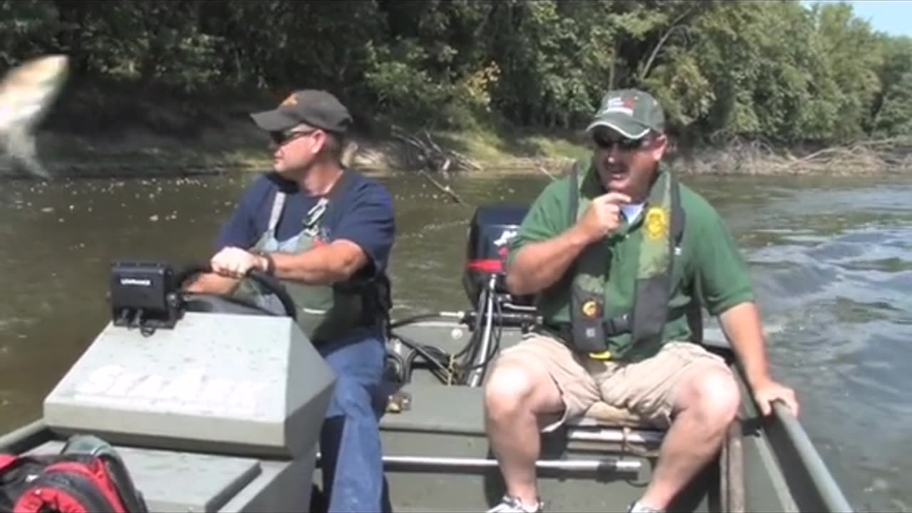 without being provoked, the fish climbs into the boat on its own