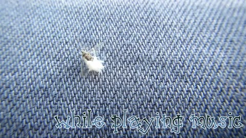 A 'Fluff' Bug Lands On My Skirt