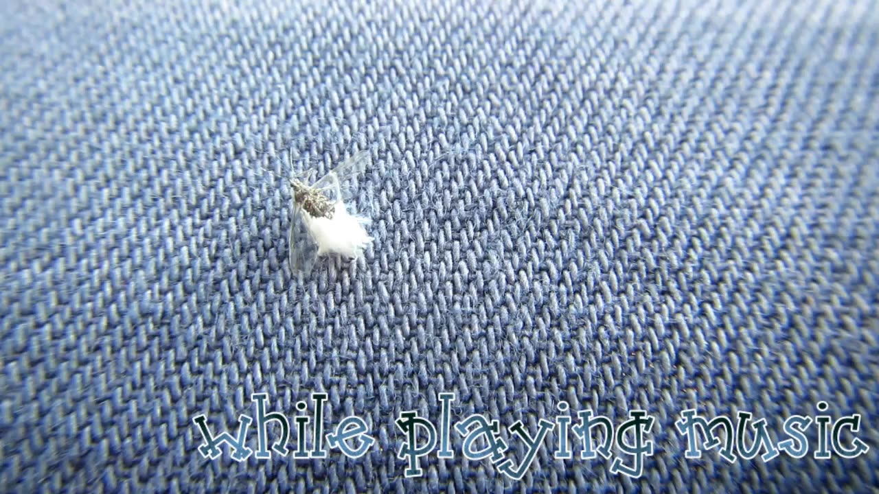 A 'Fluff' Bug Lands On My Skirt