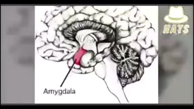 SAVE AND SHARE EVERYWHERE