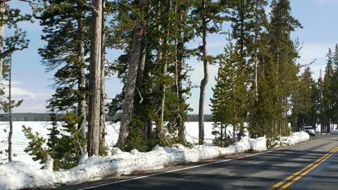 South Entrance to Yellowstone National Park 2019! Leaving Grand Teton National Park.