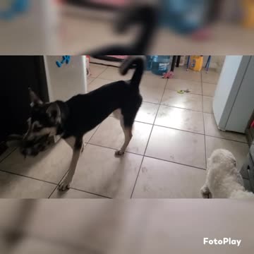 Test your might fatalities mortal kombat