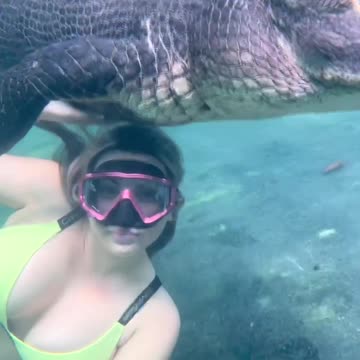 Girl swimming with Big Crocodiles