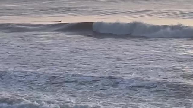 11 April 2022 Dave Oneegs Burleigh Heads Surf's up sunrise.