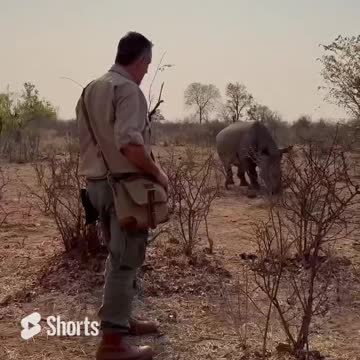 Rhino Trekking in Zambia with our new Mountainback Canvas Satchel that is coming soon.