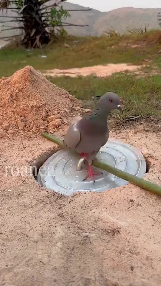 A simple trap for the post reset world....