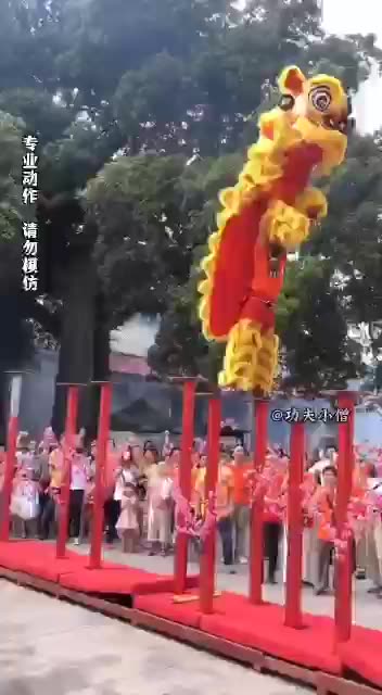 LION DANCE