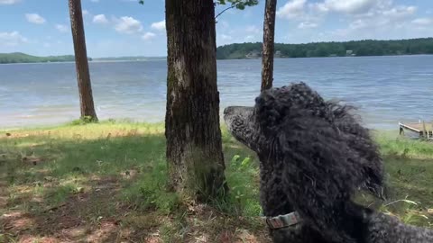 Very windy day on the Coosa River.