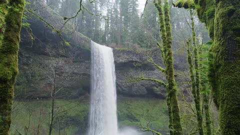 Waterfall in the Forest