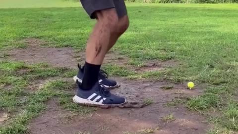 The end 😂😂😂 #funny #fails #shorts #reels #viral #humorexpose