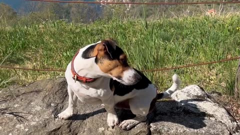 Arthur at Lake Iseo, Italy.