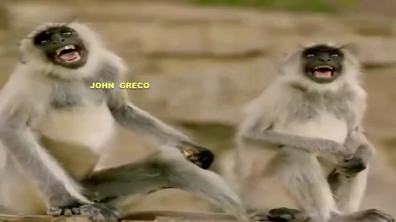 Η ''JOHN GRECO TV''... Σας #Παρουσιαζει...😂🤣