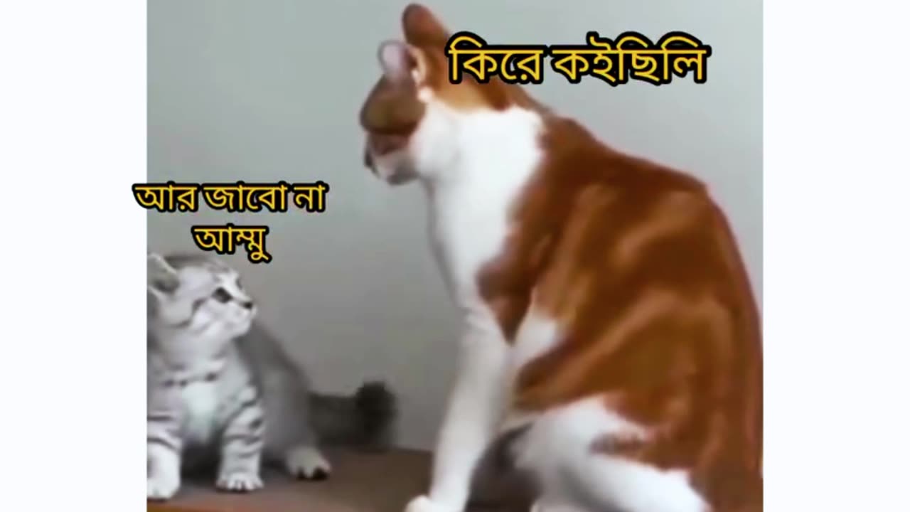 রাতে দেরি করে বাড়ি ফিরলে যা হয় আরকি