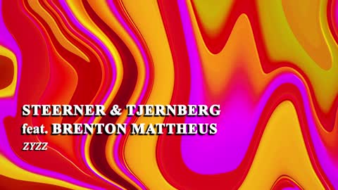 Steerner & Tjernberg feat Brenton Mattheus - Zyzz
