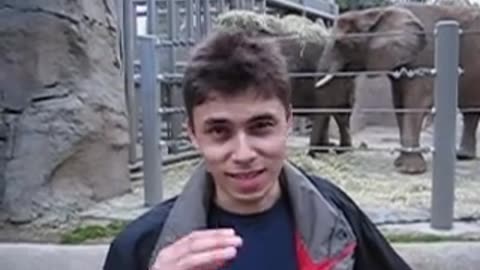 Zoo With elephants