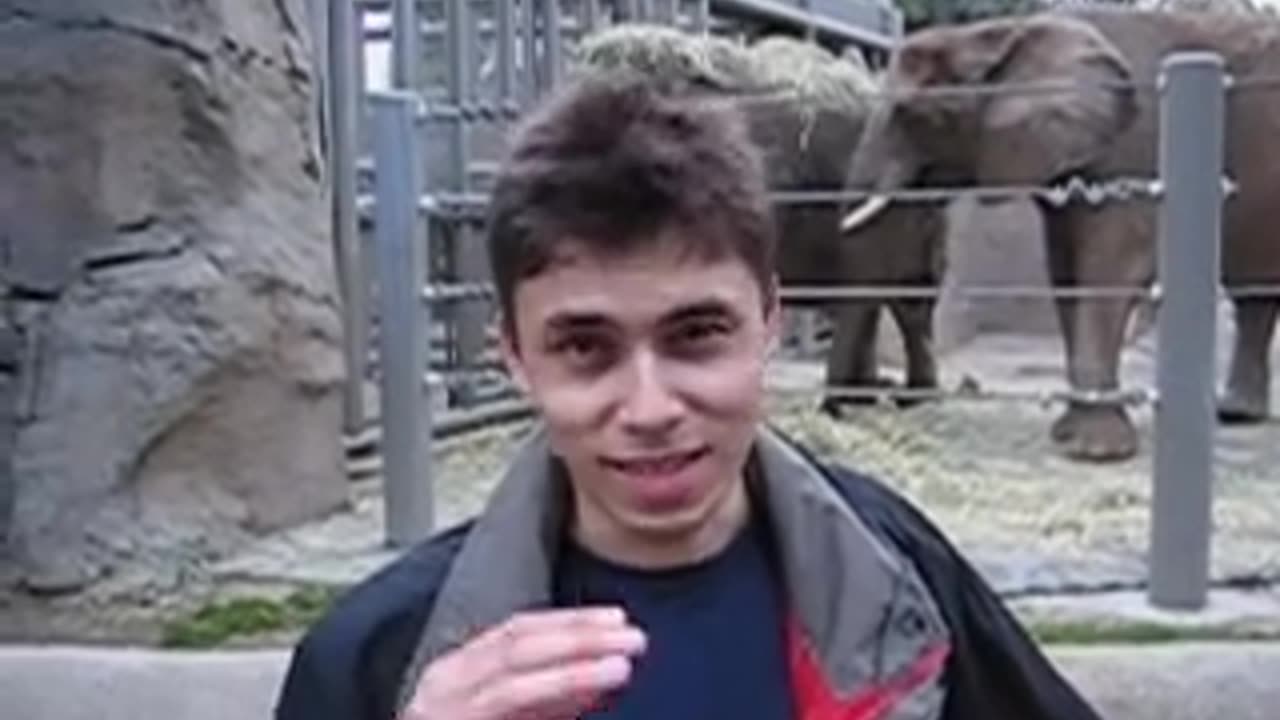 Zoo With elephants