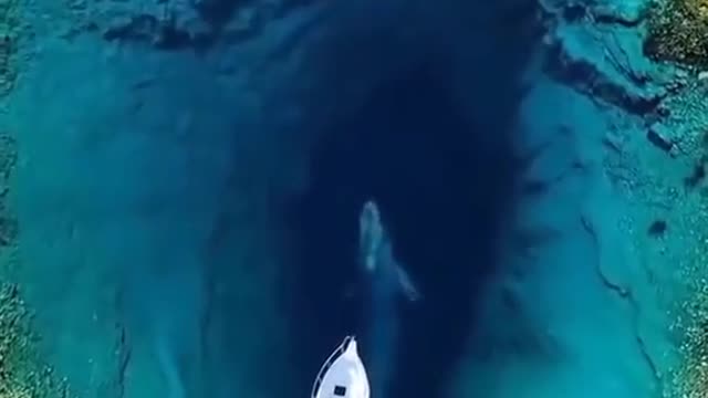 6original sound - Sound.of.Ocean