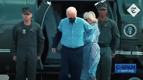 joe biden license to fall