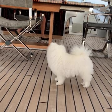 20210824文贵先生GETTR：尊敬的战友们好．马上要开始的直播