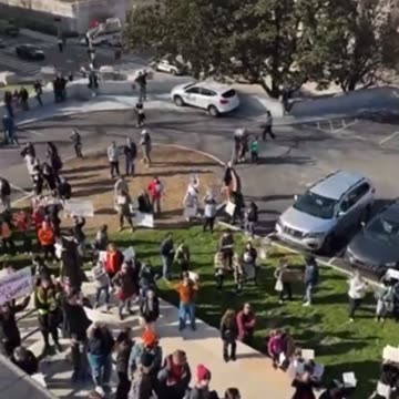 #TransSurrectionInTN