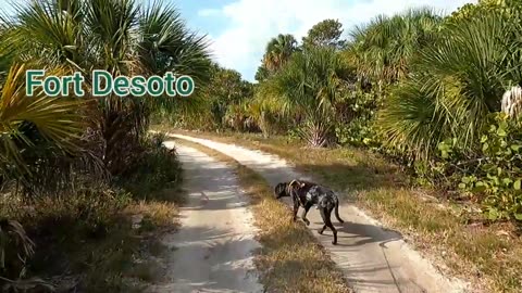 Visit to Fort DeSoto, FL