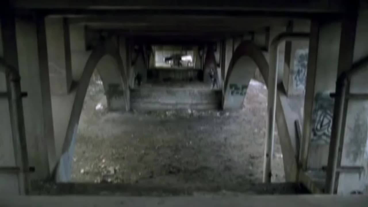 Land of The Free American Resistance Movement