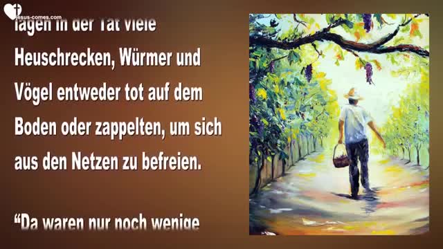 Seid wachsam und bereit... Schützt eure Frucht, denn eure Erlösung ist nahe ❤️ Liebesbrief von Jesus