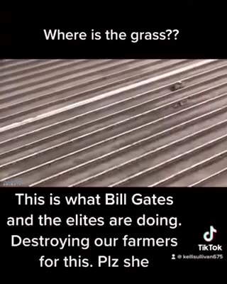 How the elites are destroying our food supply