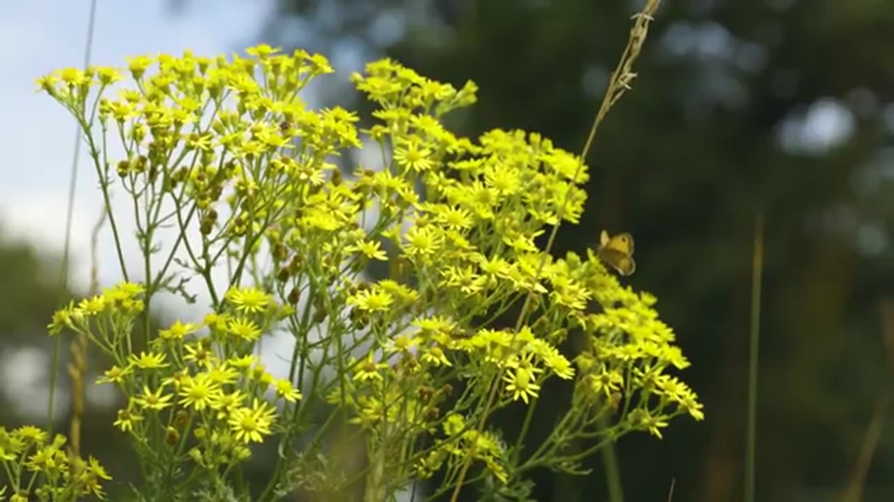 How we protect nature