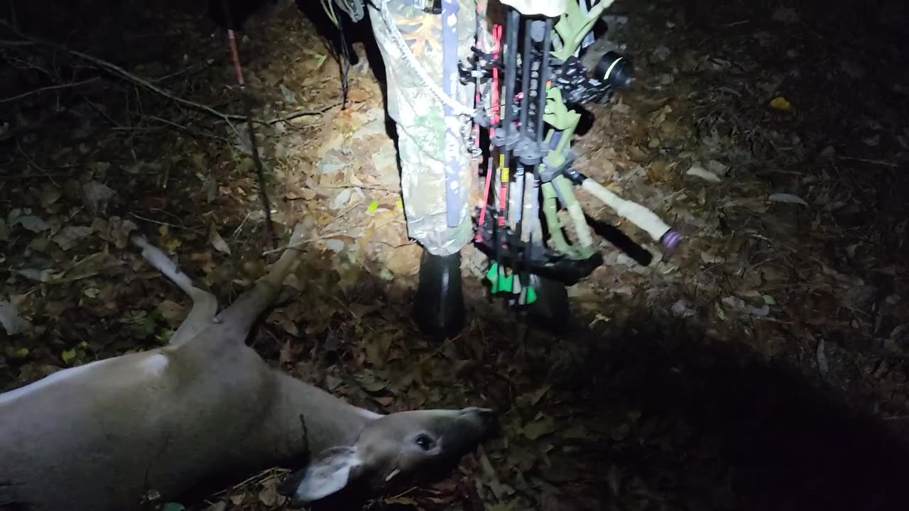 Small buck down!