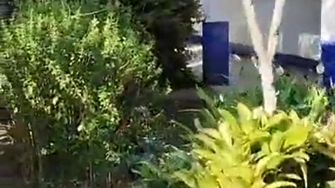 Atentado terrorista en Jamundí