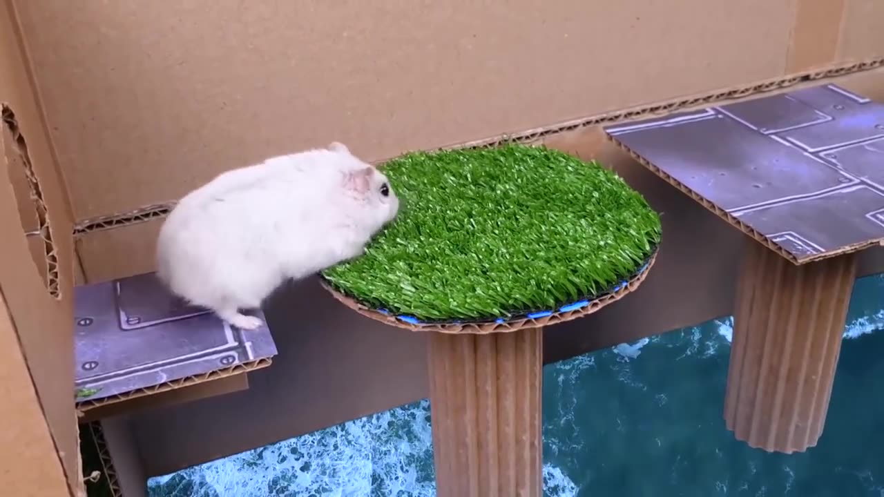 🐹 Hamster Escapes the Rainbow POP IT Maze [OBSTACLE COURSE]