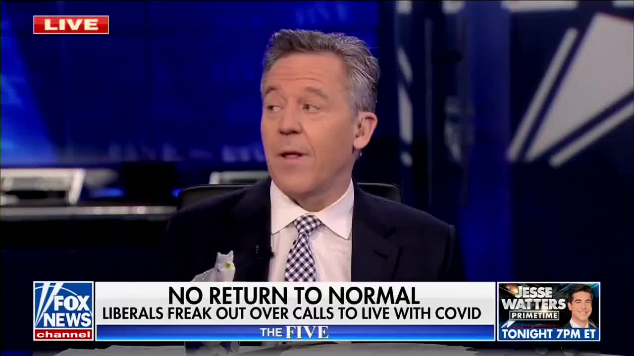 Greg Gutfeld Blast People Who Accept Authoritarianism