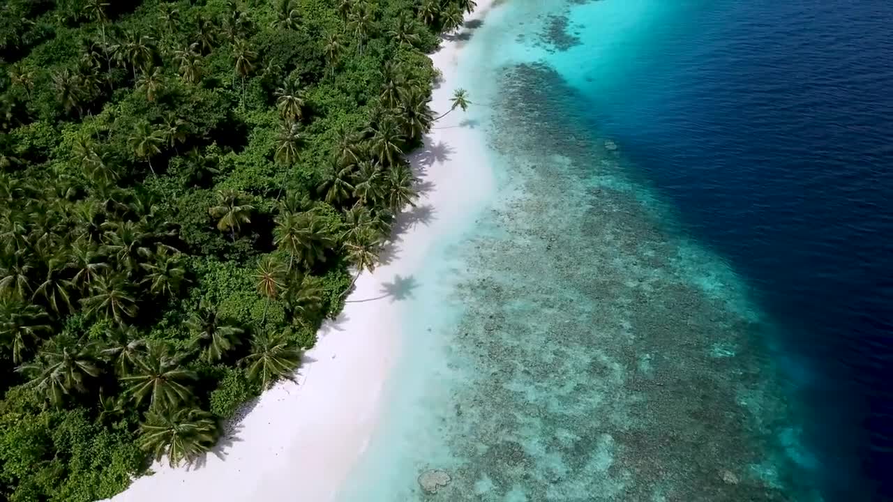 Maldives surf season